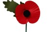 poppy-day-uk-gov